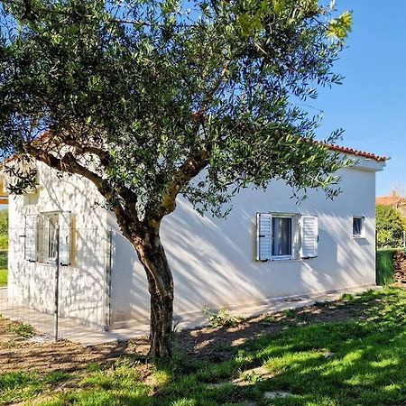 Cozy Owl'S Studio Home Pyrgos  Exterior photo